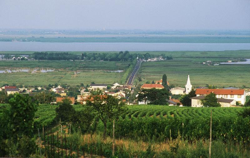Landhaus Luka Fertőmeggyes Kültér fotó