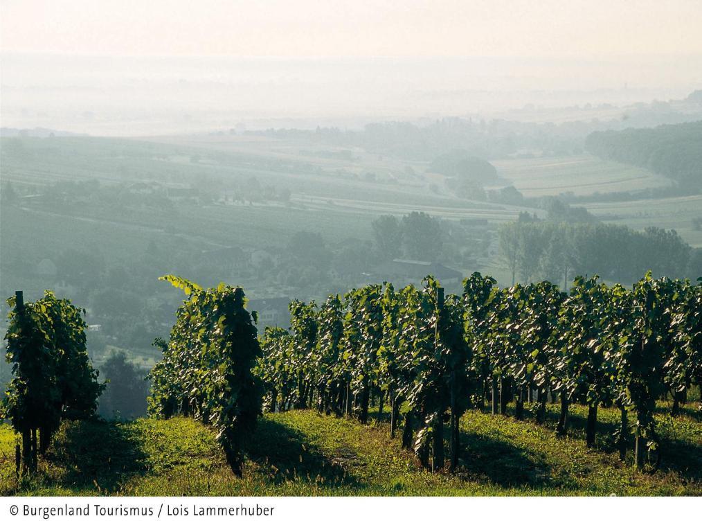Landhaus Luka Fertőmeggyes Szoba fotó